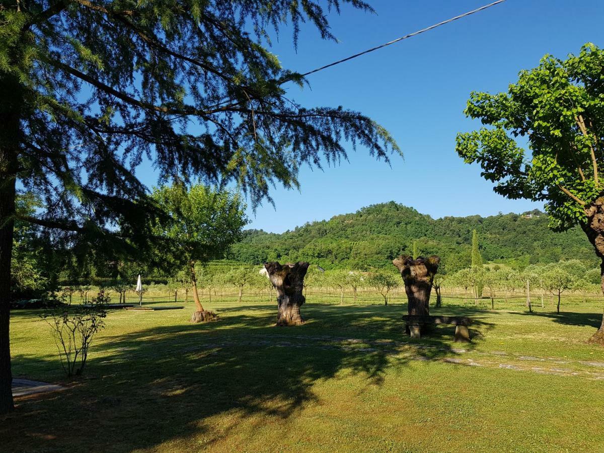 Agriturismo San Michele 维琴察 外观 照片